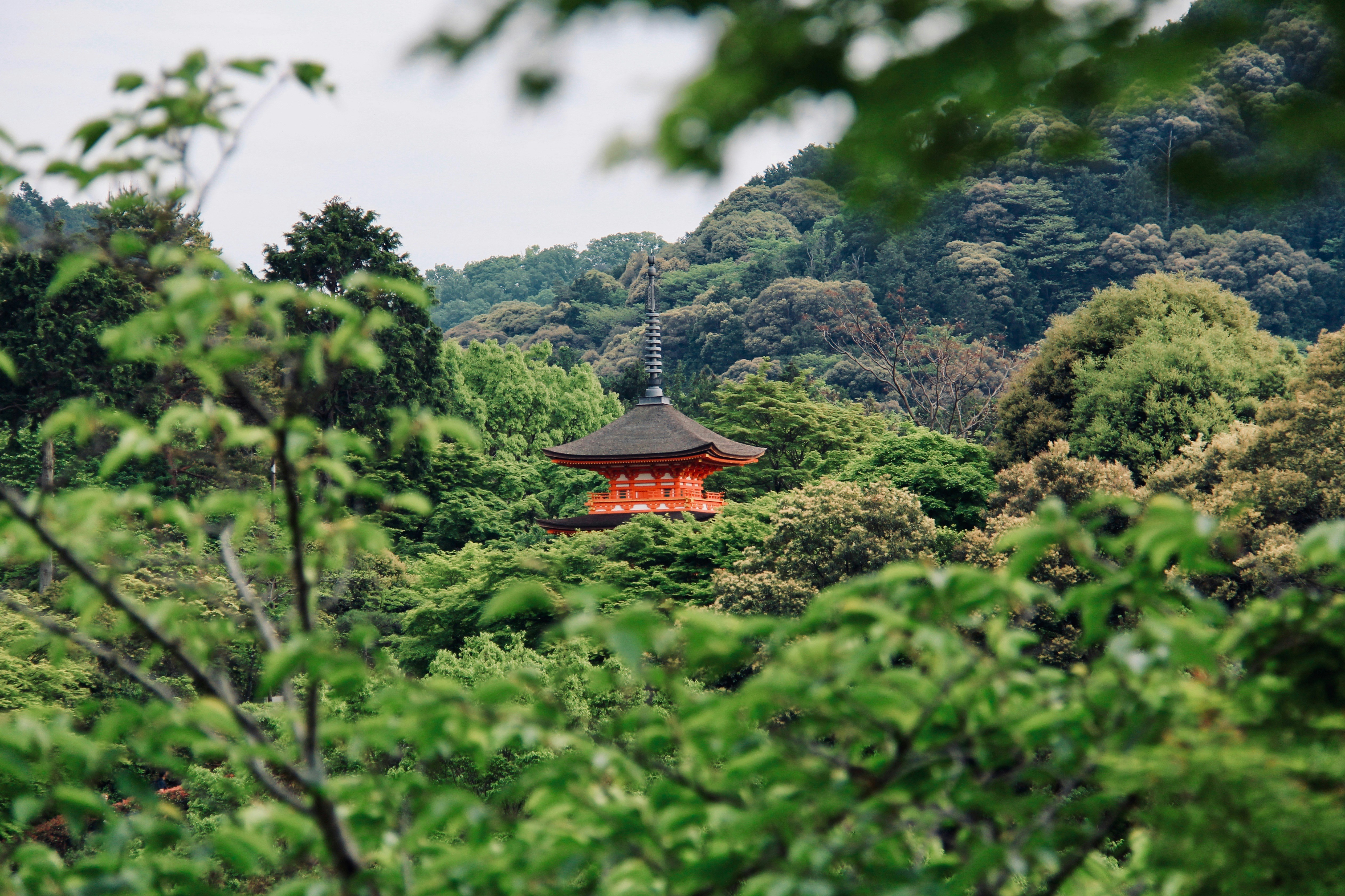 brown and red pagoda on top of green mountain