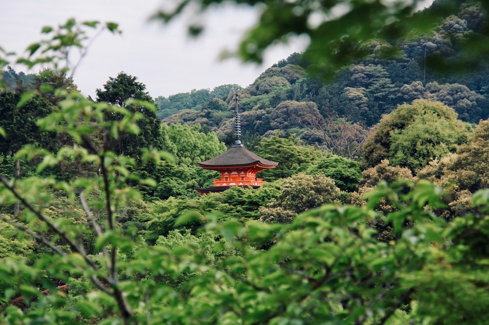 brown and red pagoda on top of green mountain