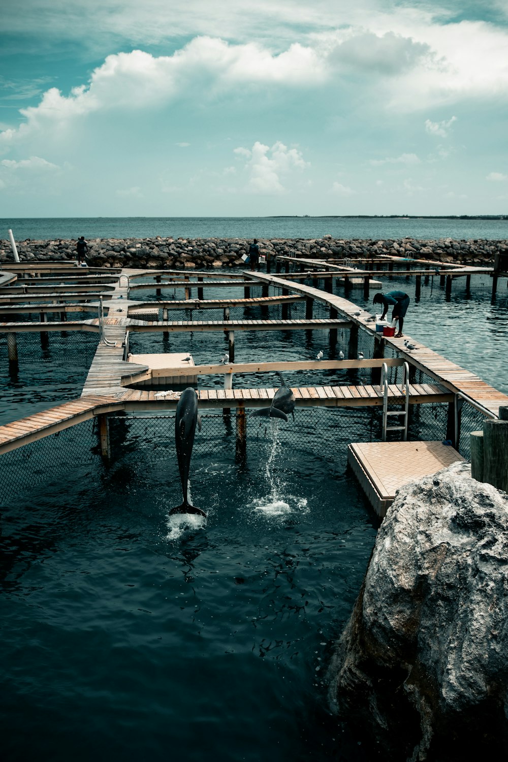 brown wooden dock over blue sea under blue sky during daytime