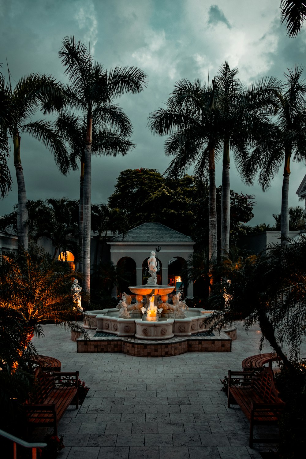 brown and white fountain surrounded by palm trees