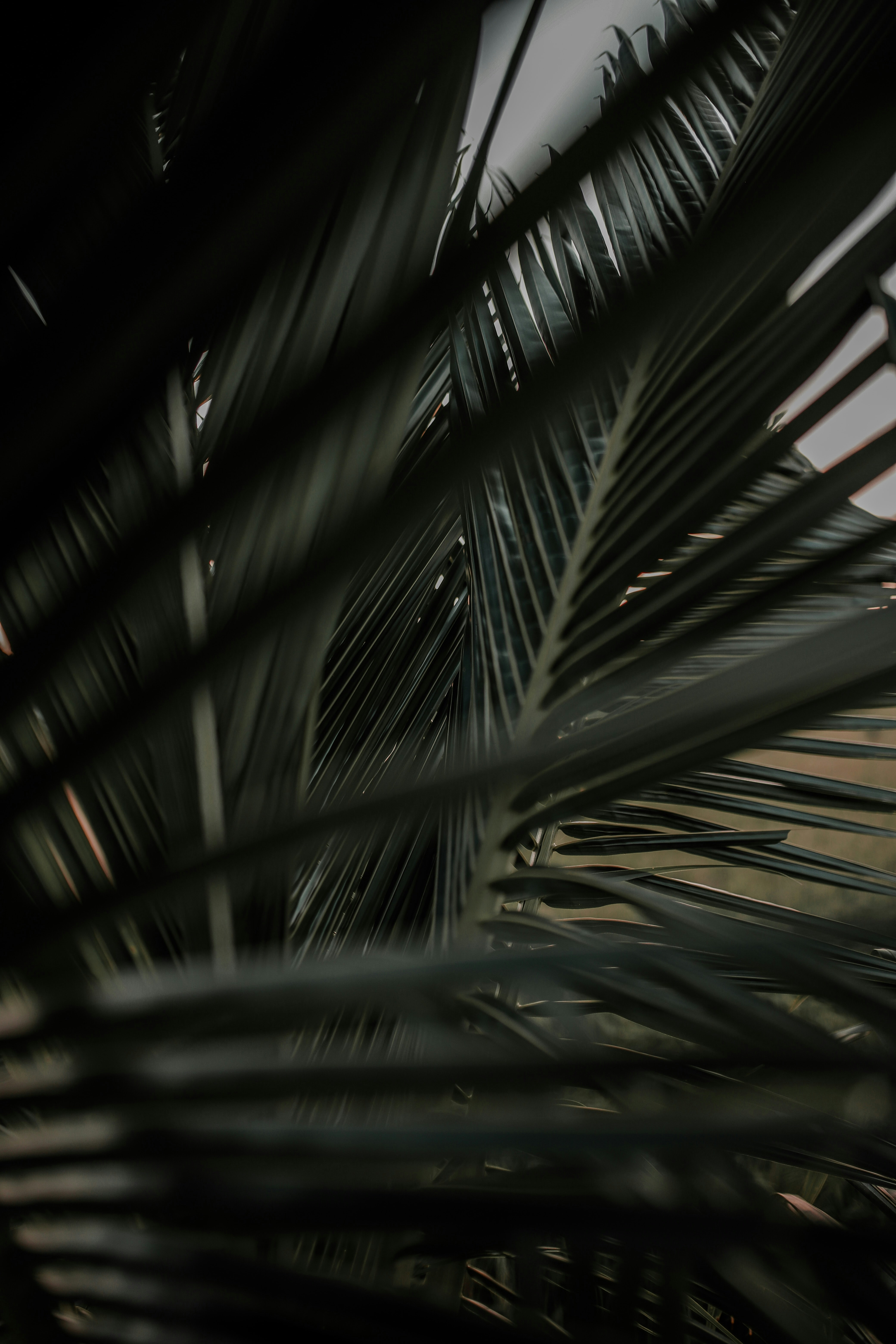 Photo by afzal_nejeeb94