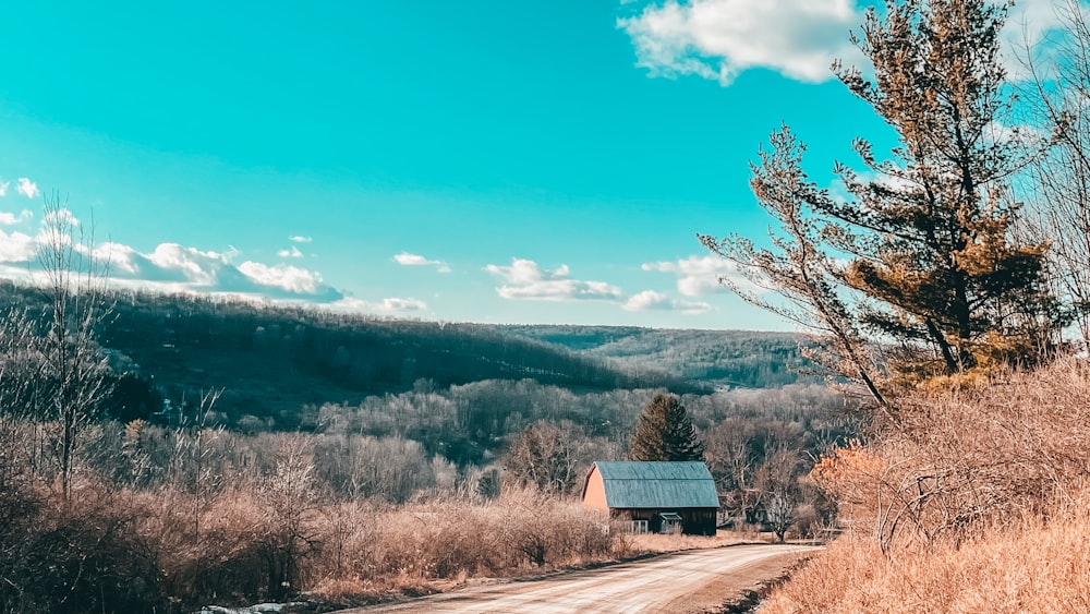 maison en bois marron sur un champ d’herbe brune sous le ciel bleu pendant la journée