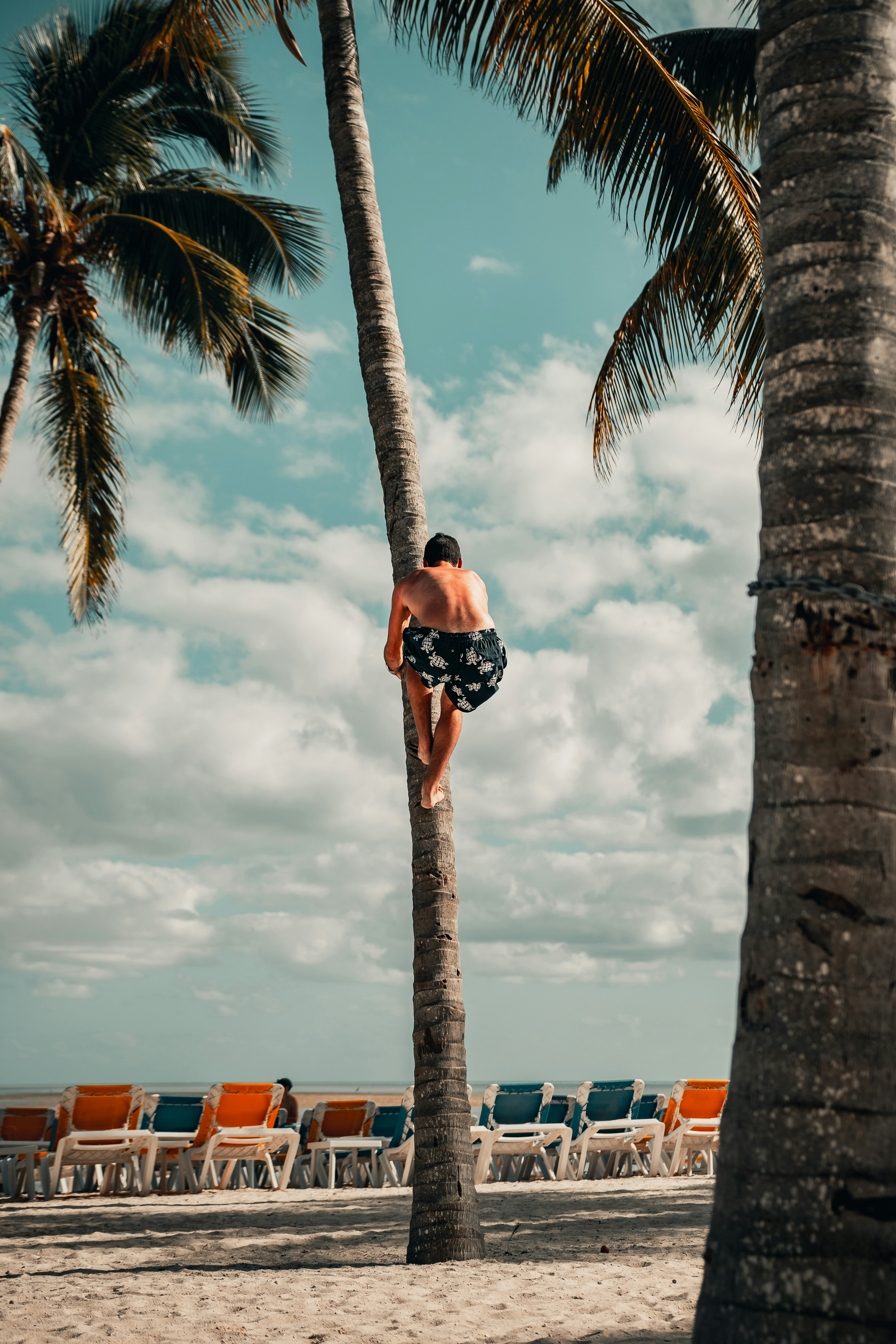 man in black t-shirt and blue denim shorts sitting on palm tree during daytime