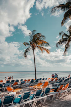 people on beach during daytime