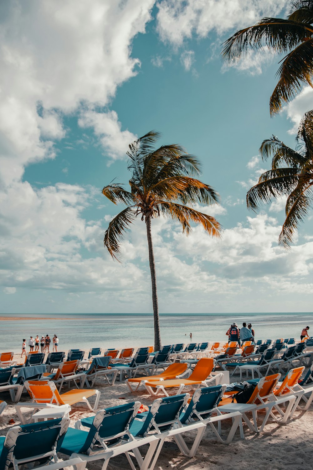 Gente en la playa durante el día