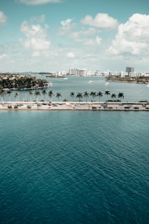 people on beach during daytime