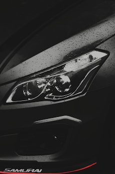 black and silver car door handle