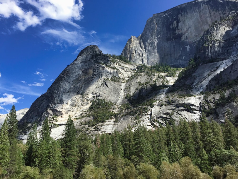 green trees near gray mountain under blue sky during daytime