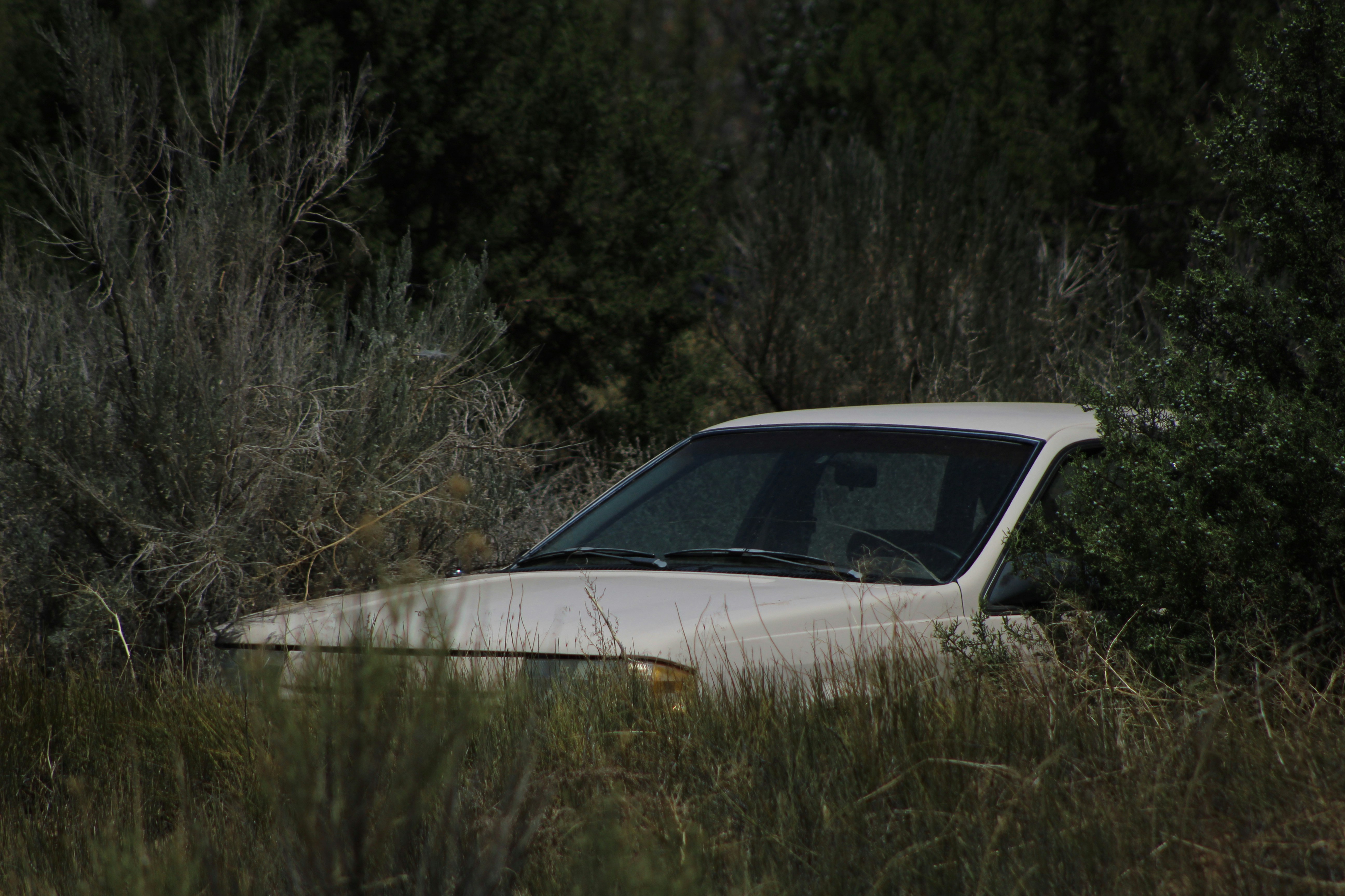 Photo by geisterbilder