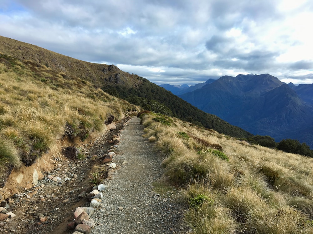 gray dirt road between green grass field during daytime