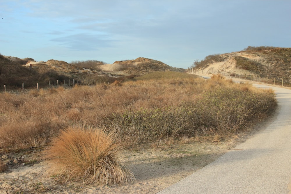 gray asphalt road near brown grass field during daytime