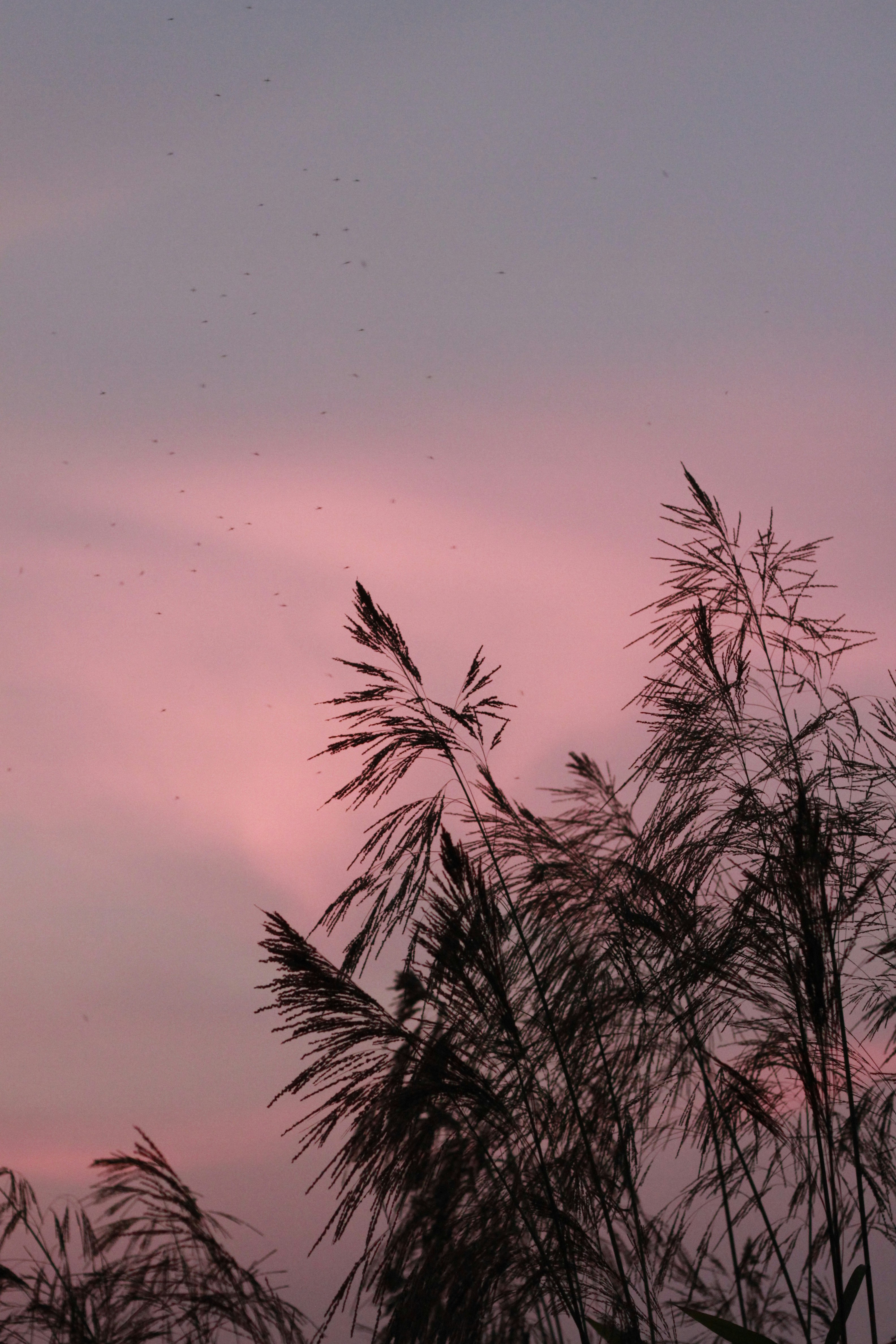 Photo by jtrinh_artwork