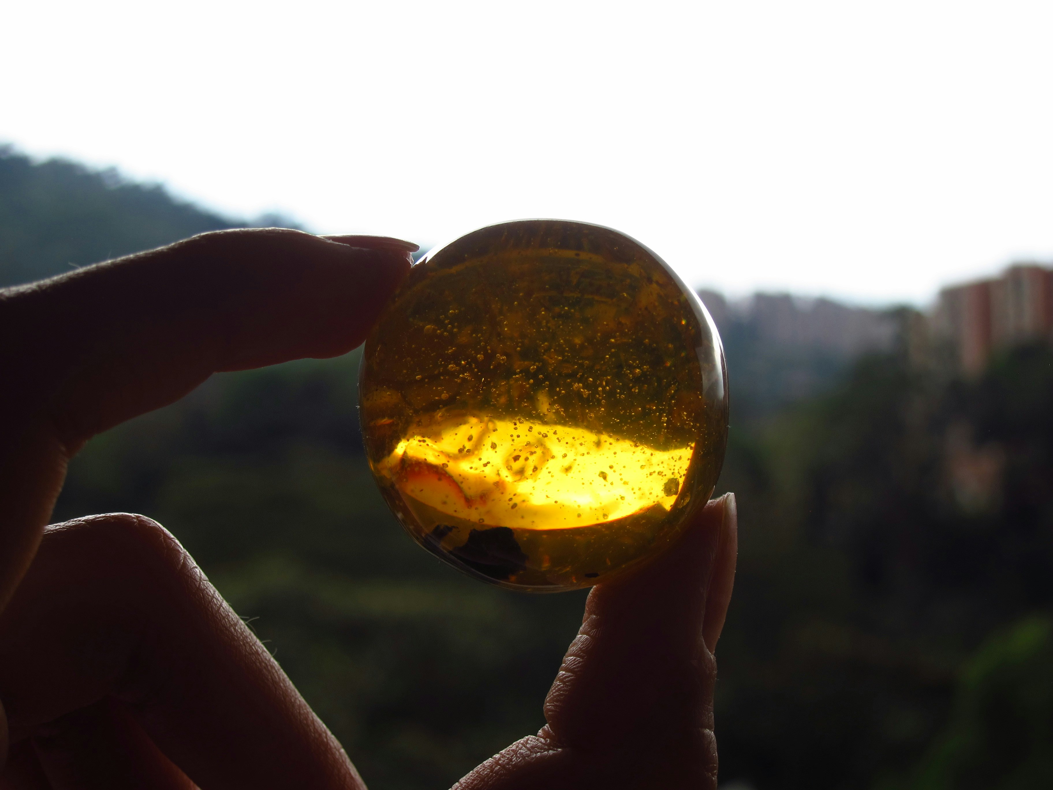 Where Is Amber Found?  Ancient Carved Ambers in the J. Paul Getty Museum