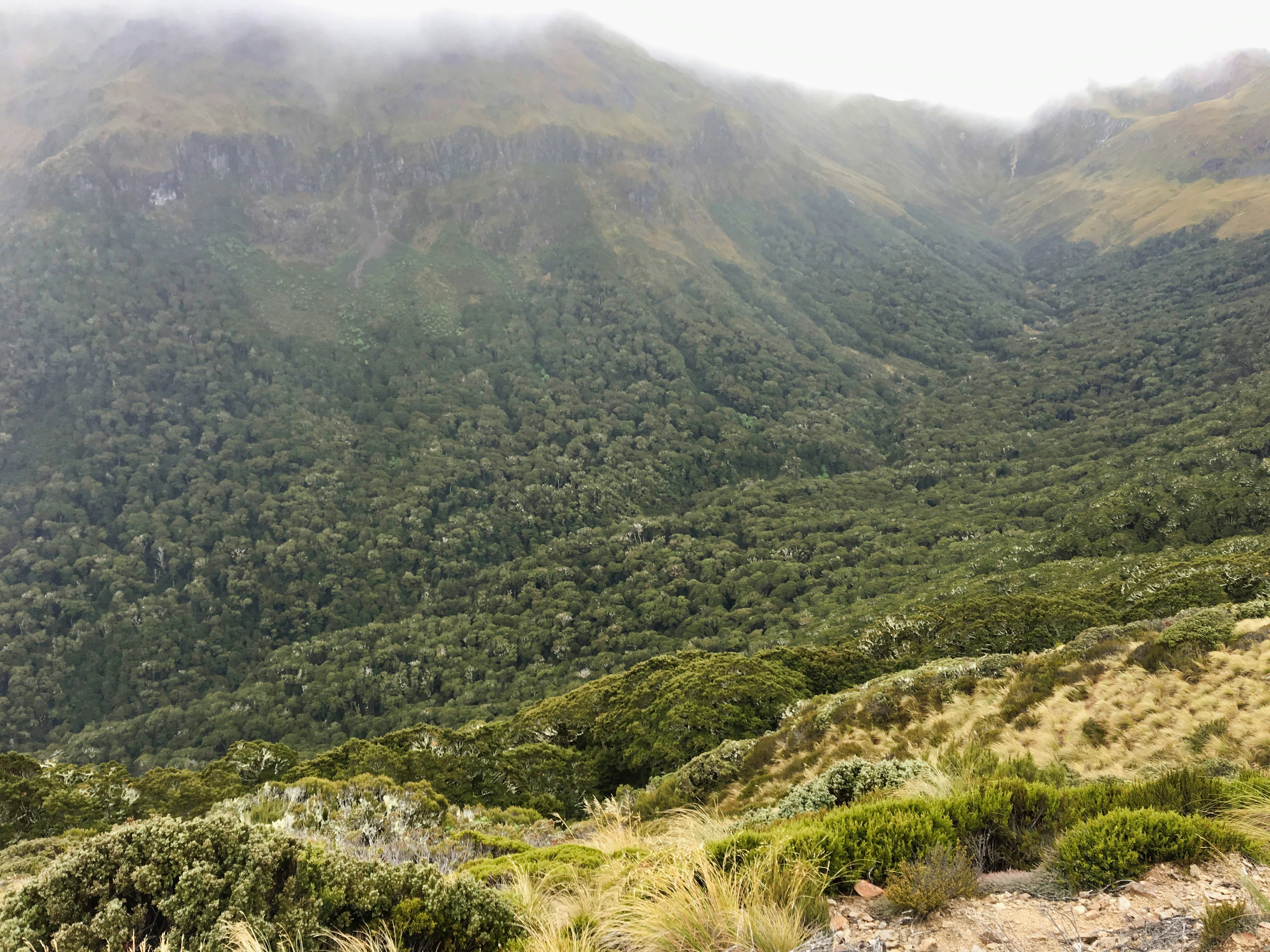 Te Anau – Accommodation & Where to Stay