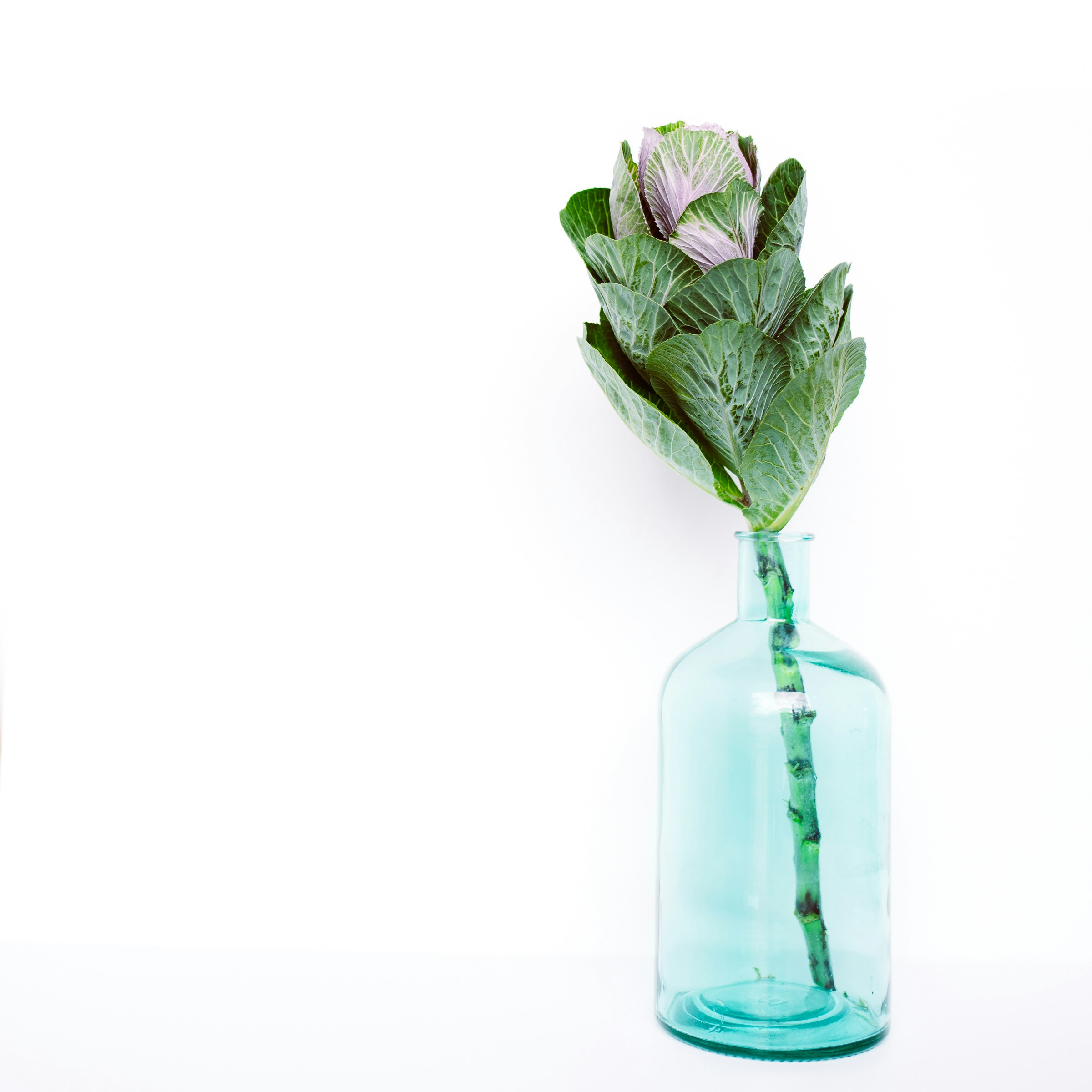 Photo by hayleymaxwell