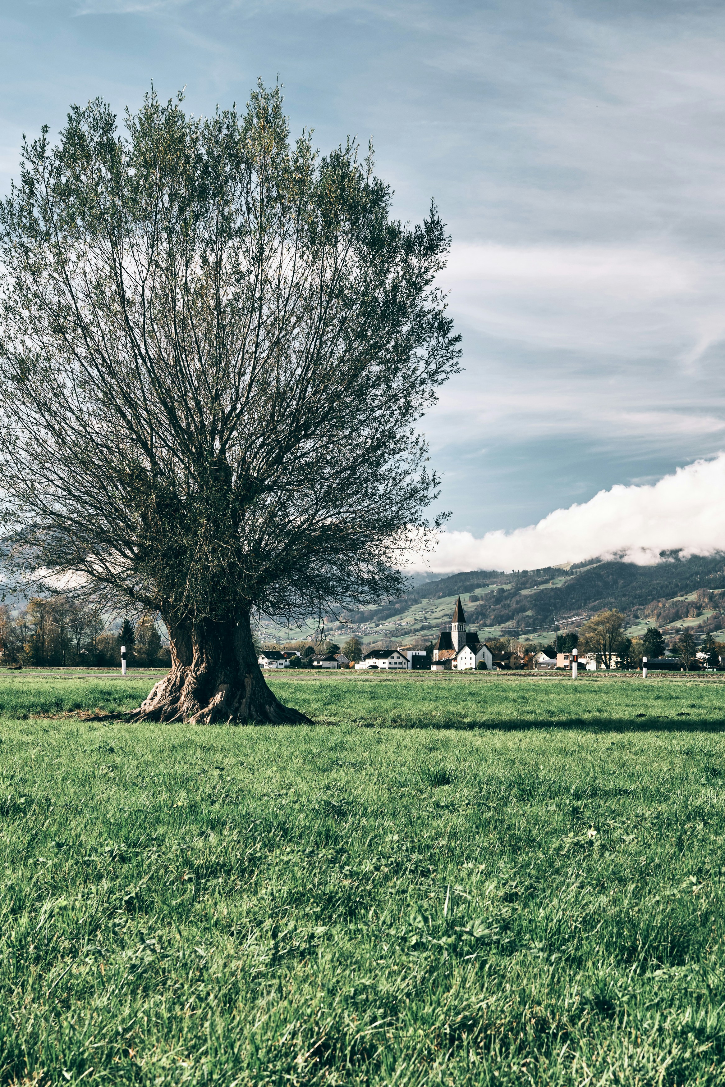 Photo by marcus_ganahl