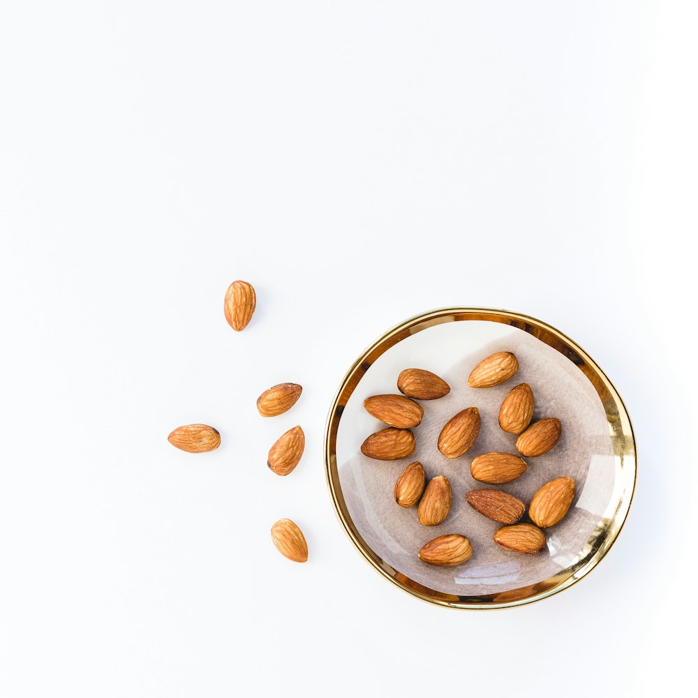 brown and white round ceramic bowl with brown and white beans