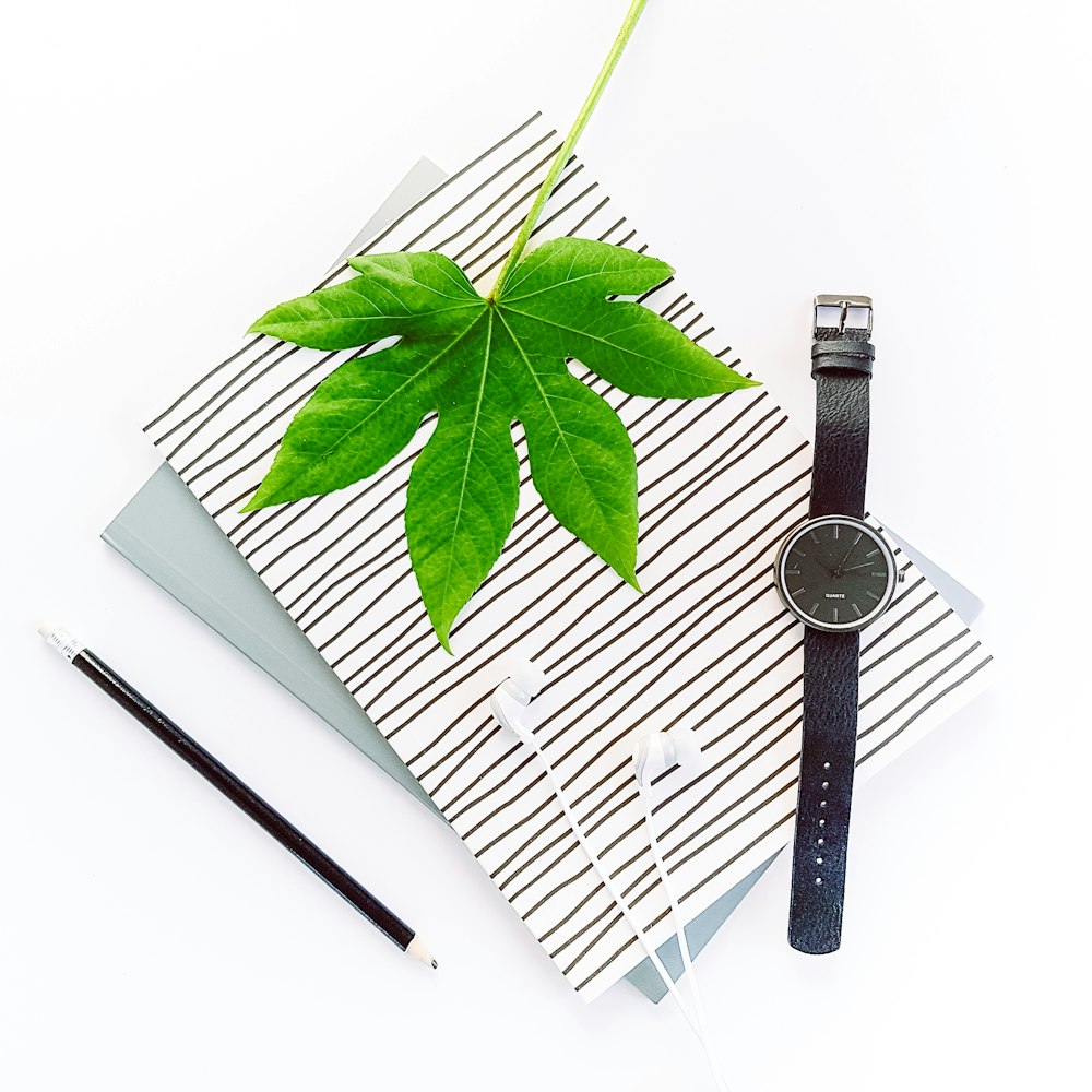 black round analog watch with black strap beside green leaves