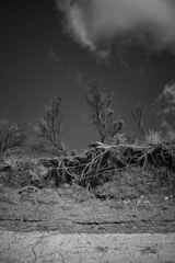 Dark, hollowed landscape illustrating the struggle before grace.