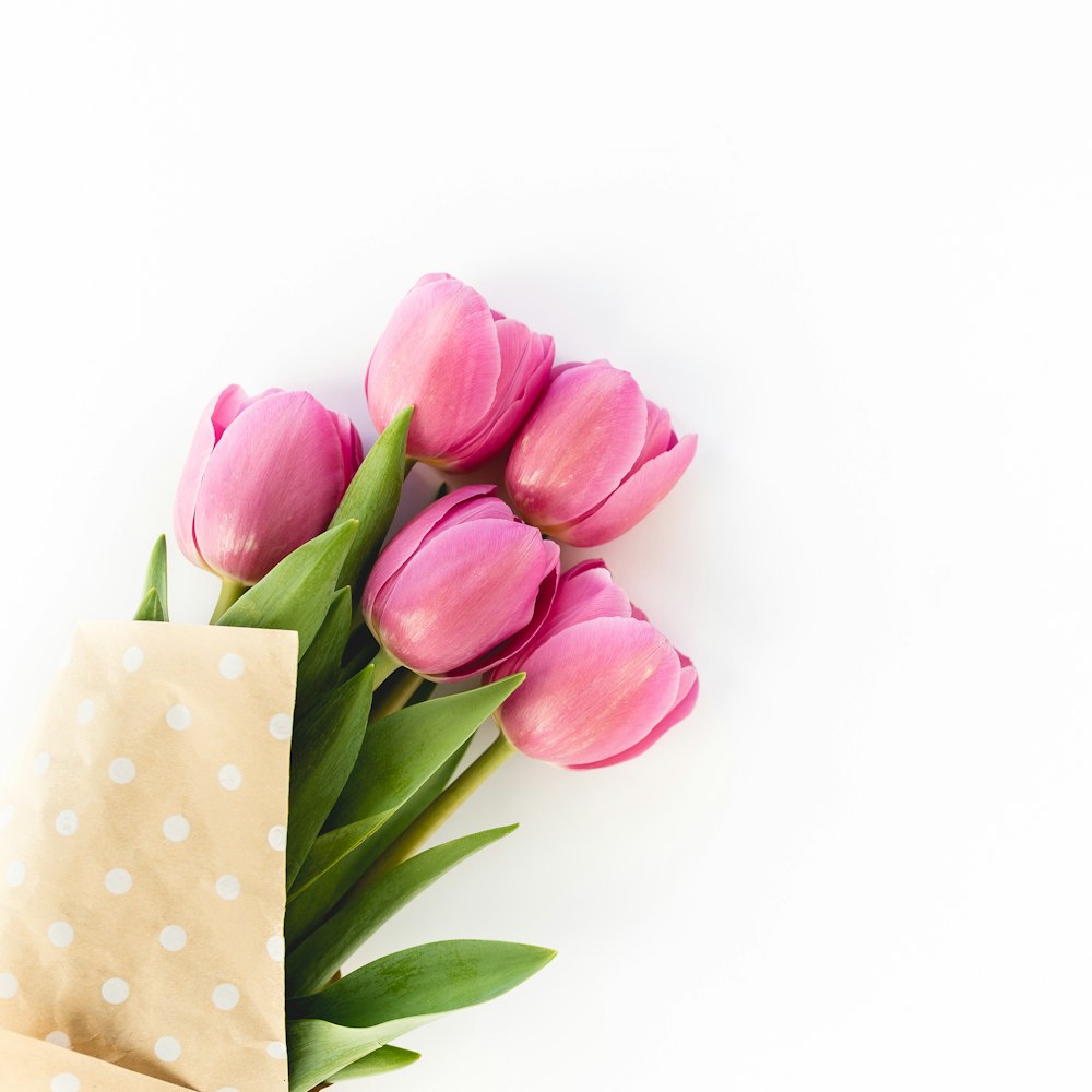 pink tulips on white surface