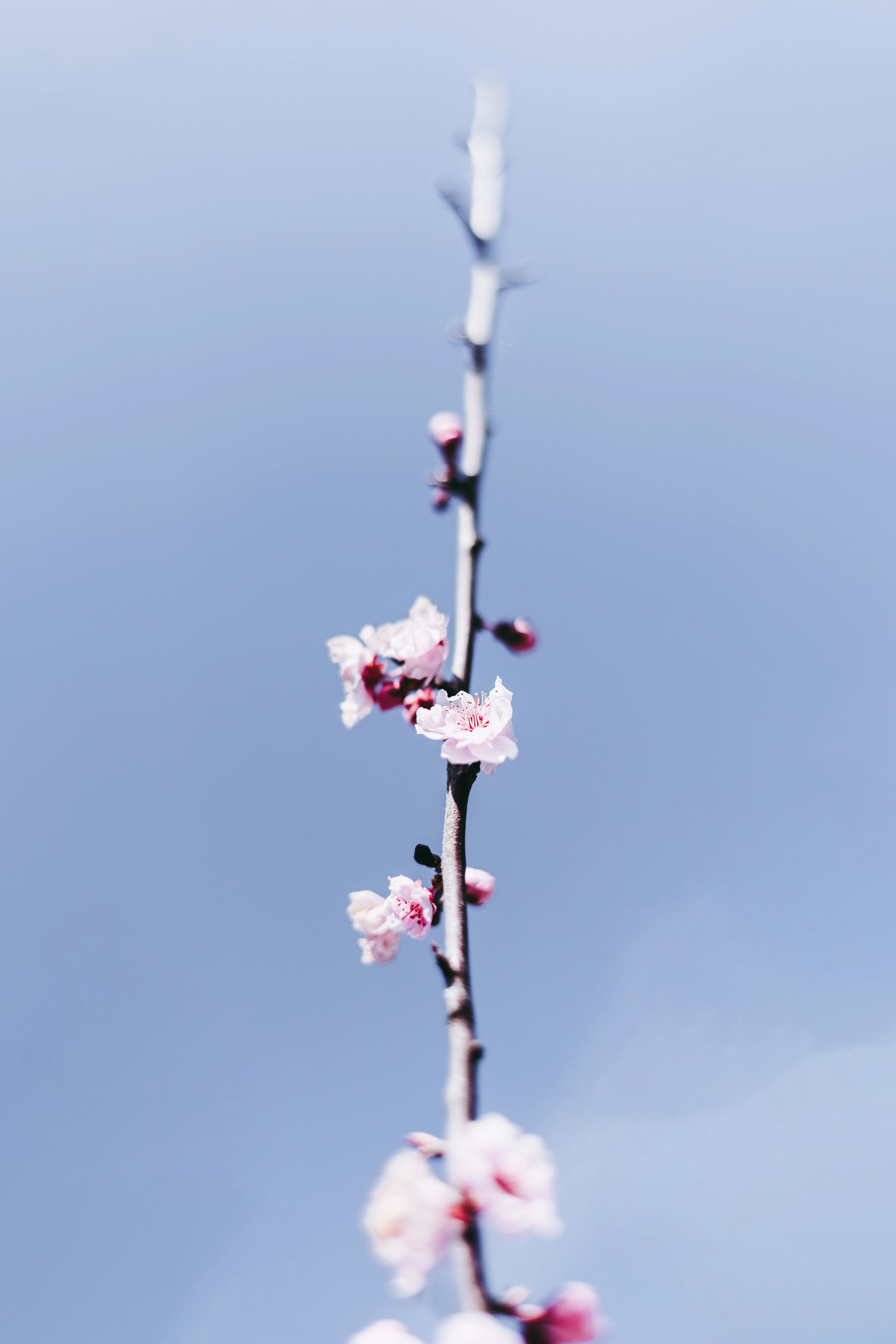 Photo by virussinside