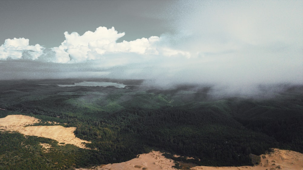 green trees under white clouds during daytime