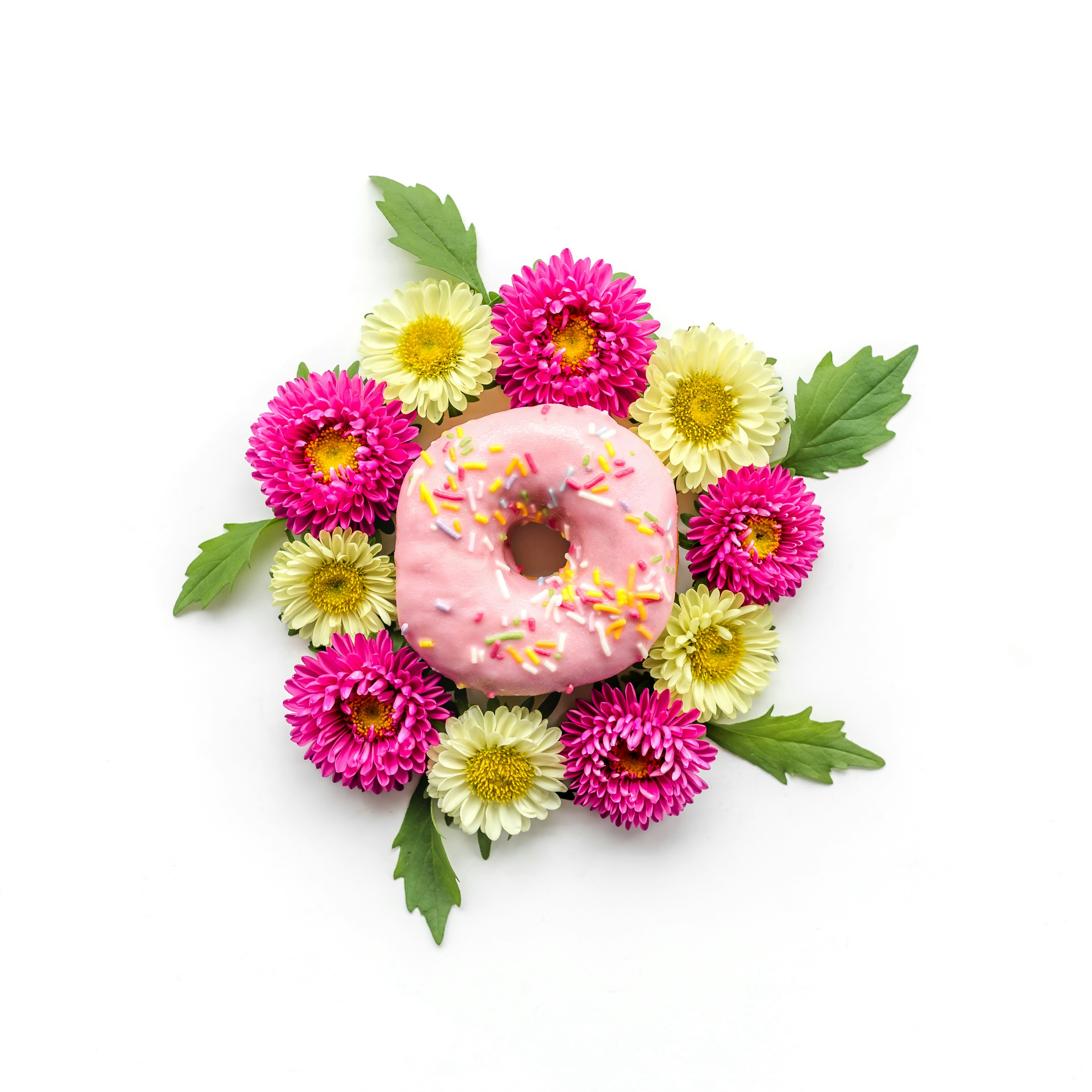 fiori rosa e viola con sfondo bianco