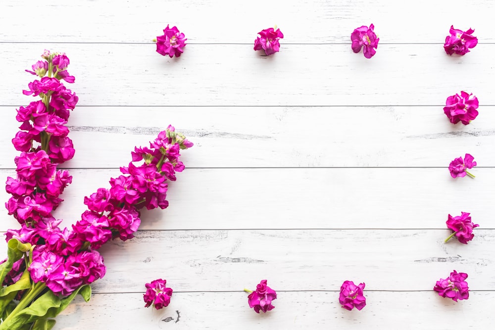 red flowers on white wooden wall