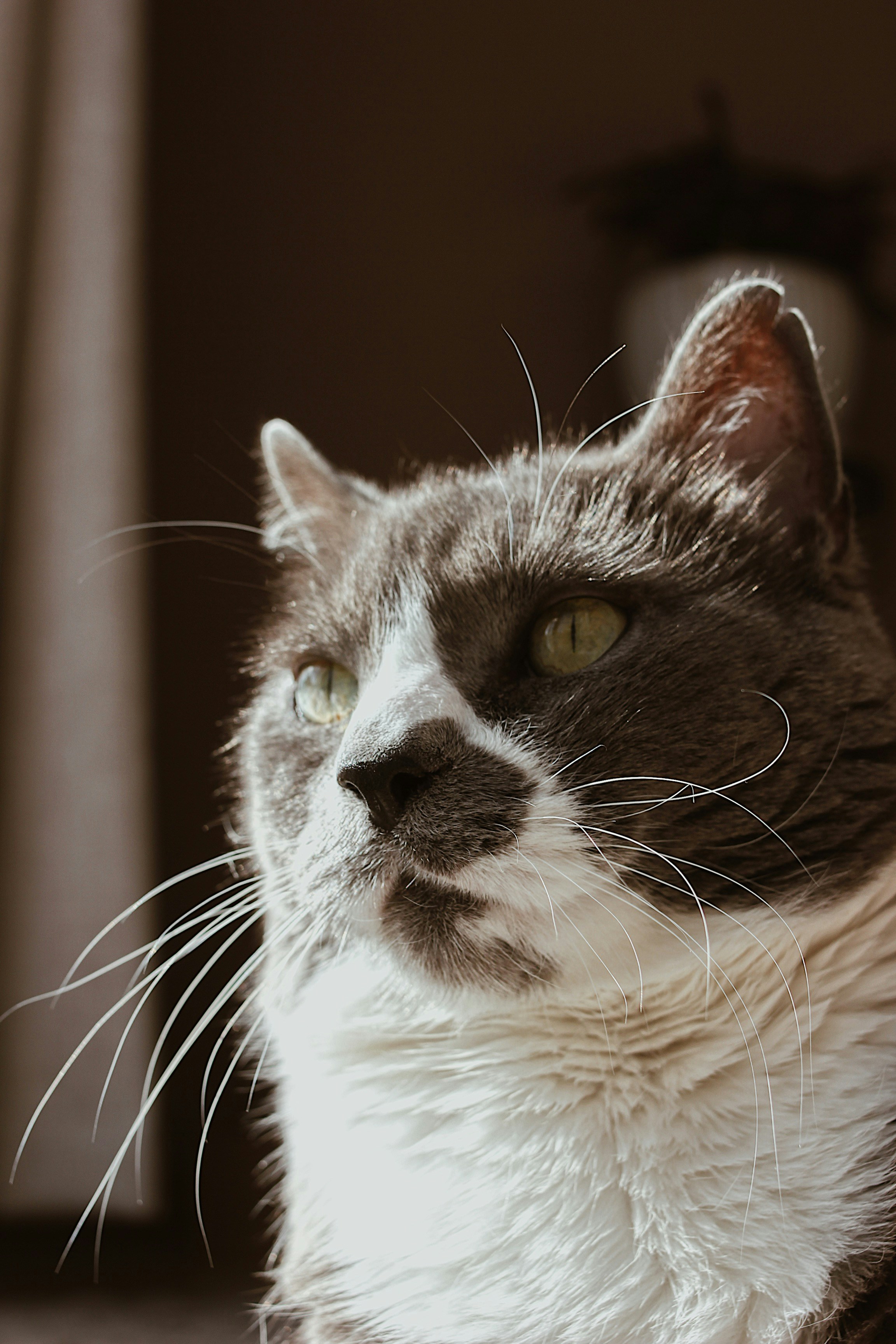 Photo by earthtokarly