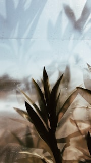 green plant on white snow