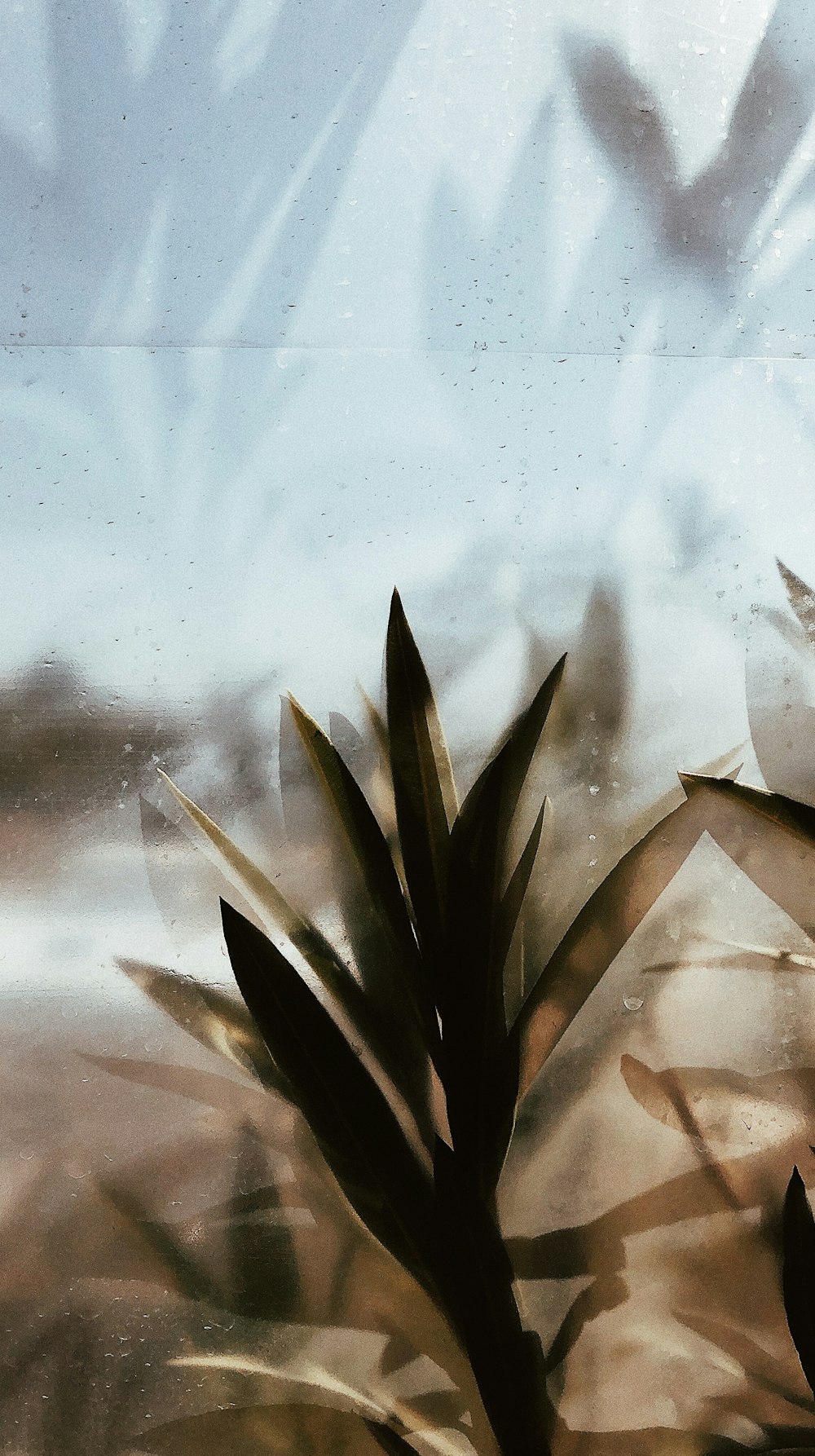 green plant on white snow