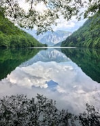 green trees near lake under white clouds and blue sky during daytime