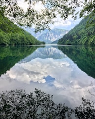 green trees near lake under white clouds and blue sky during daytime