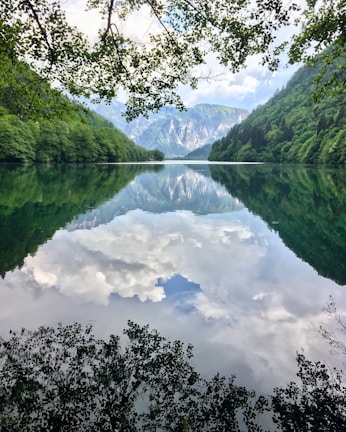 green trees near lake under white clouds and blue sky during daytime