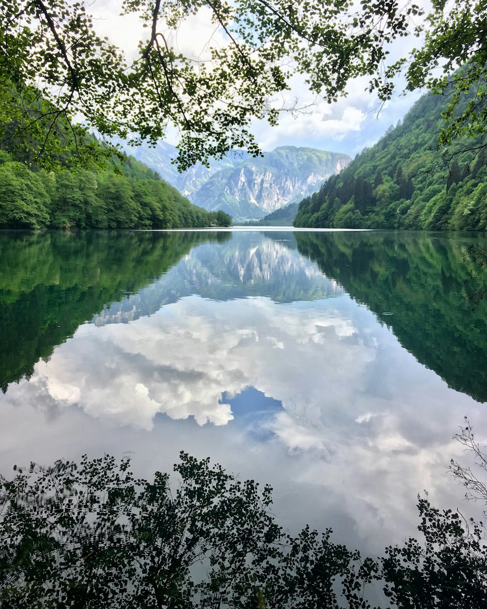 green trees near lake under white clouds and blue sky during daytime