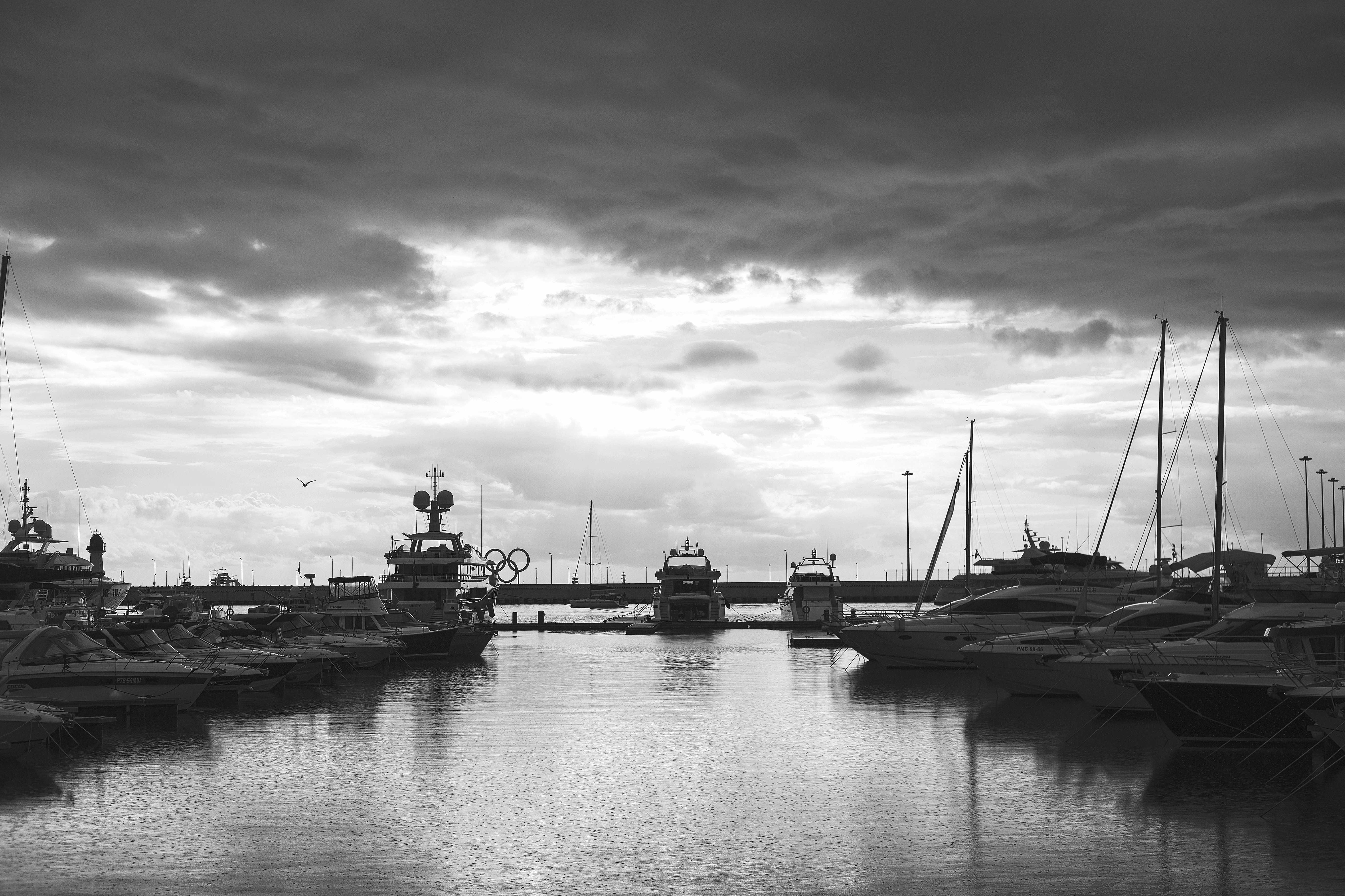 Photo by vbelomyttseva