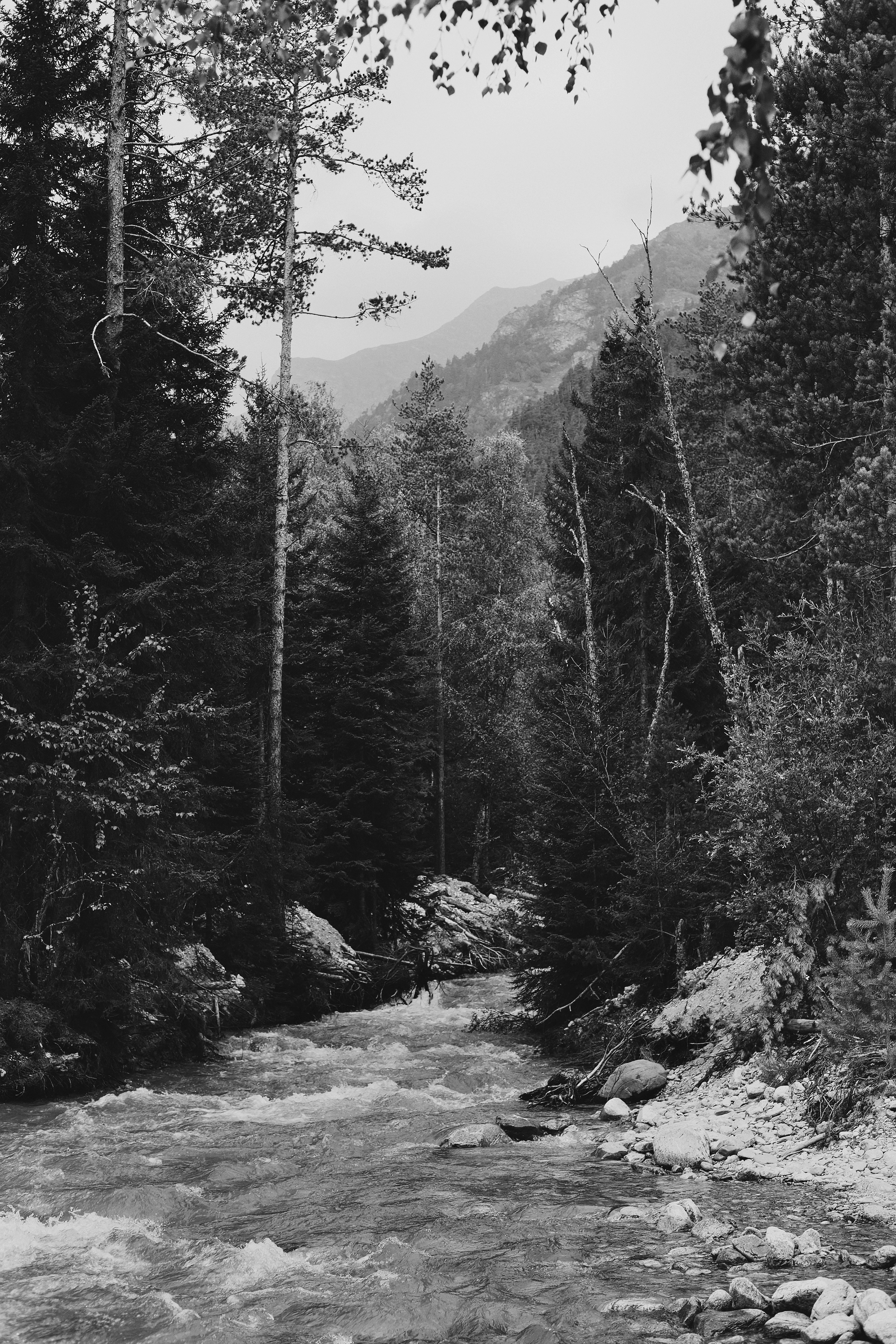 Photo by vbelomyttseva