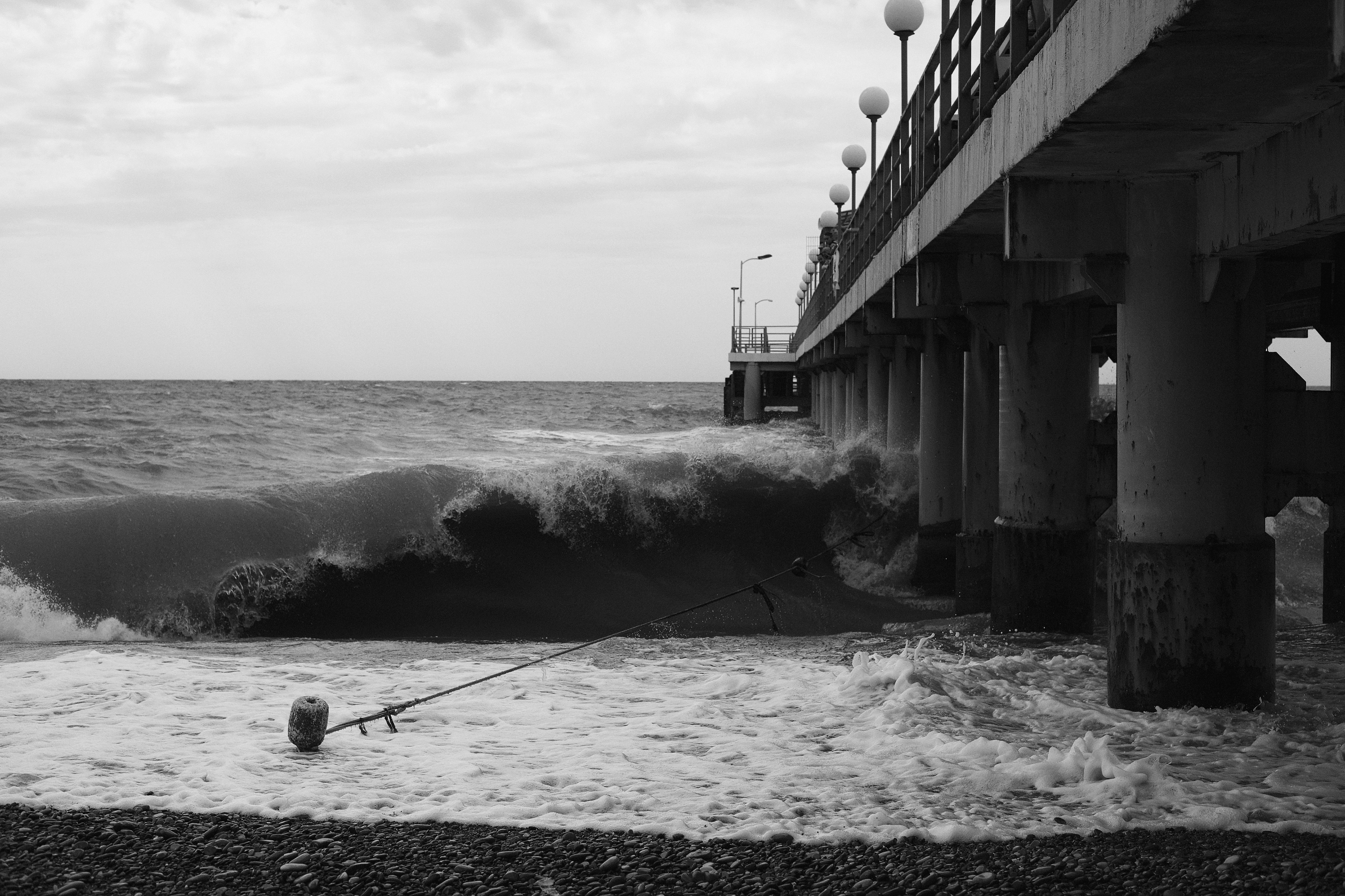 Photo by vbelomyttseva