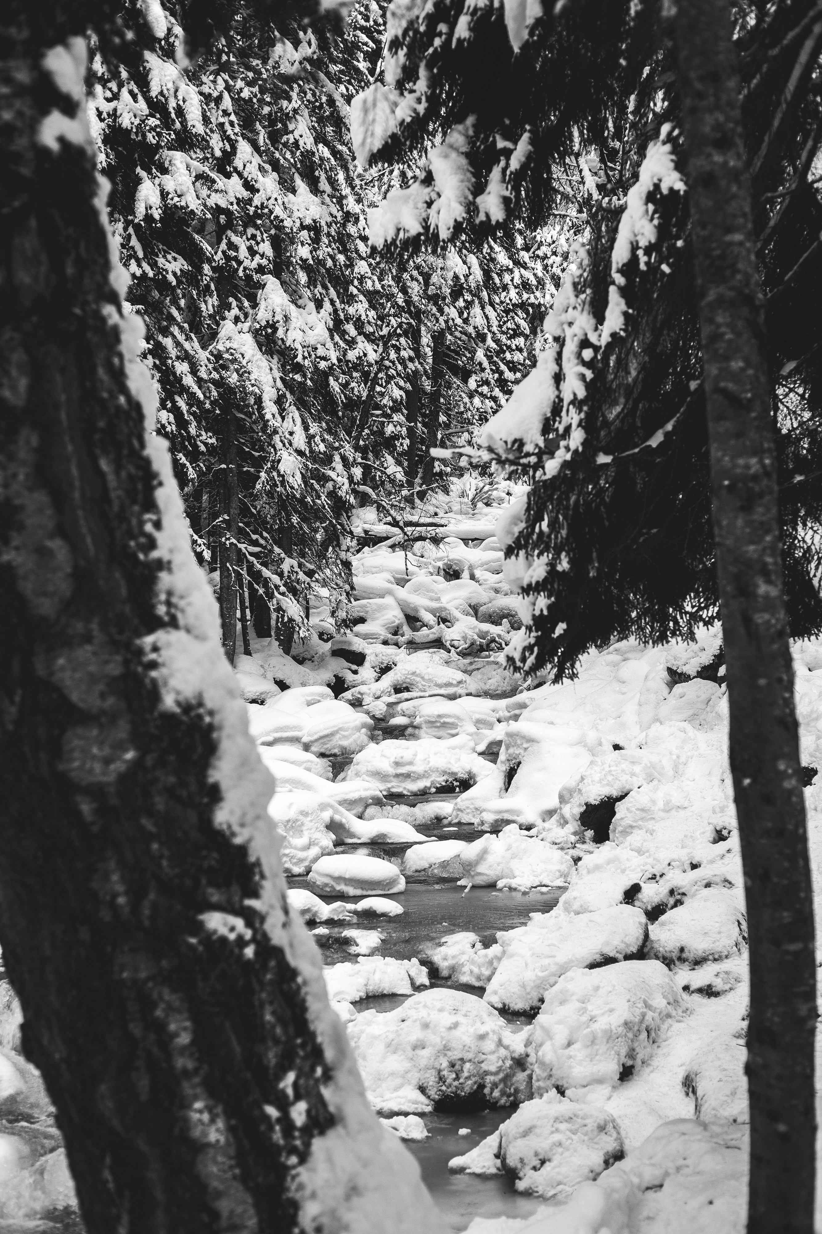 Photo by vbelomyttseva