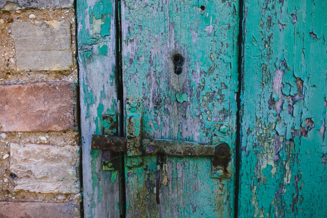 blue and brown wooden door