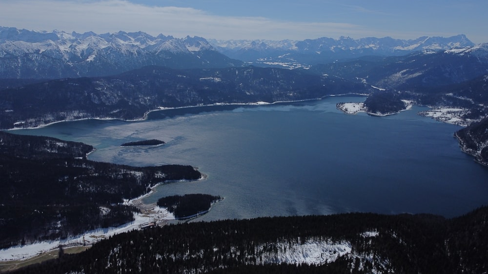 aerial view of green trees near body of water during daytime