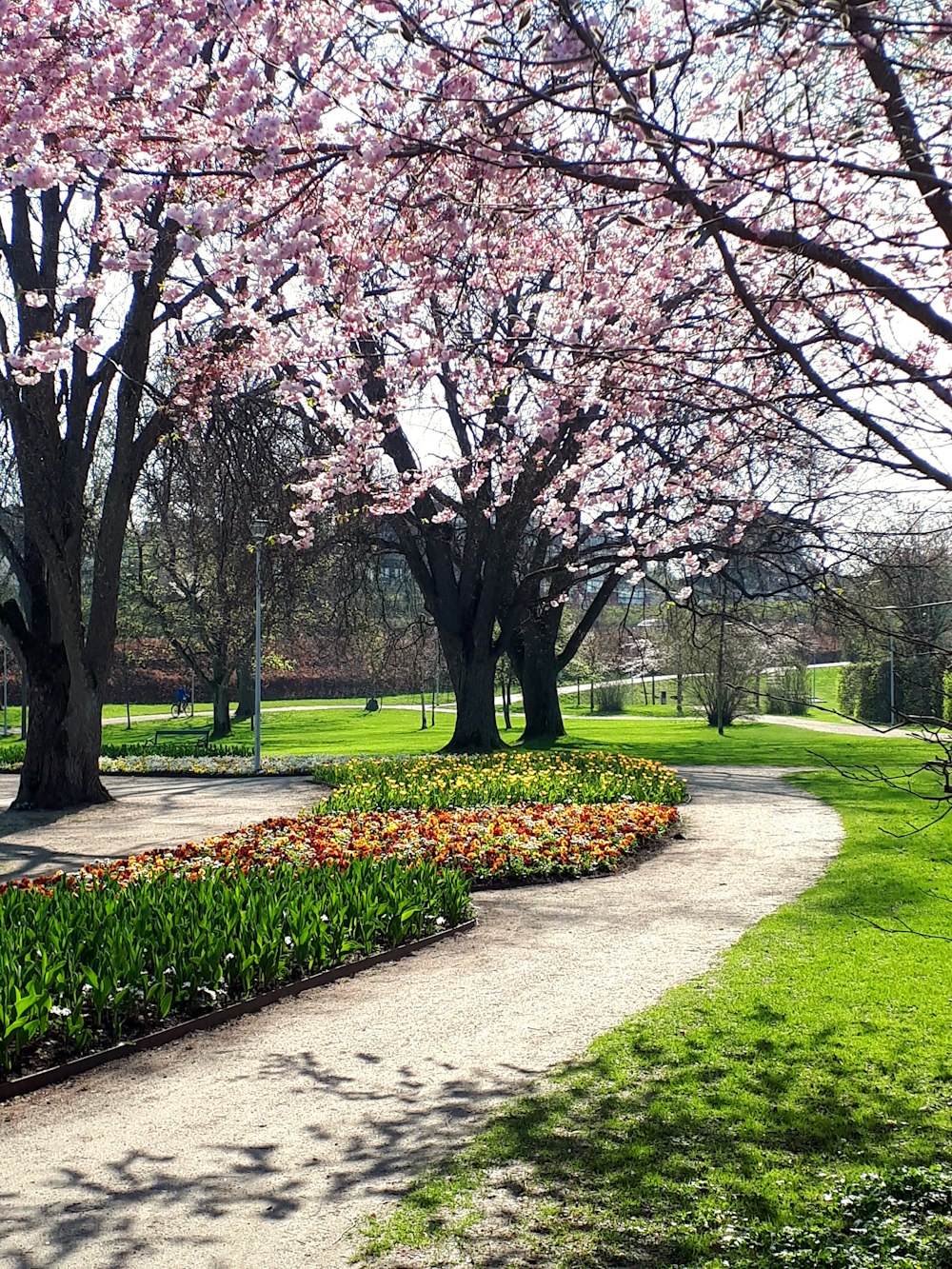 brown trees on green grass field during daytime