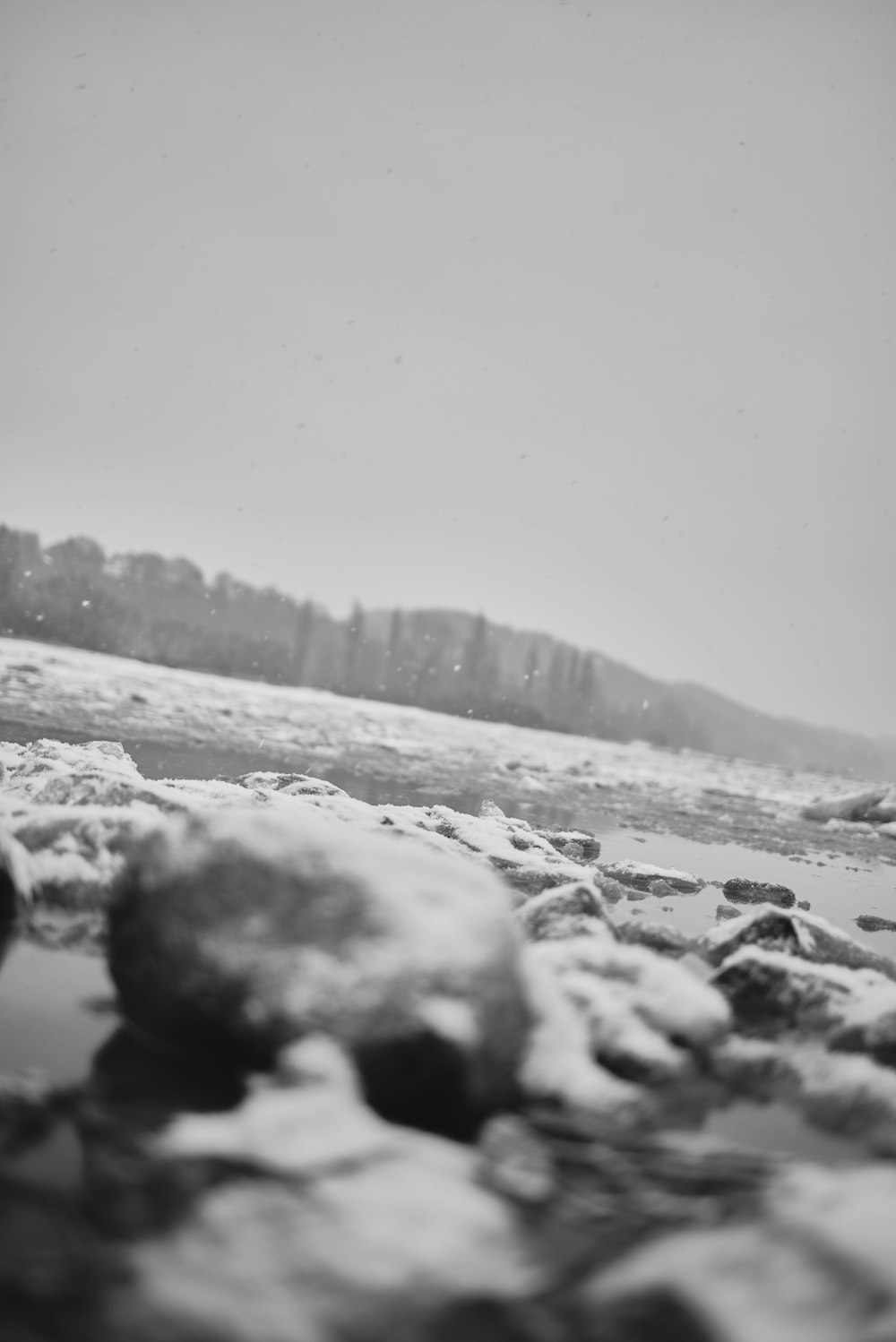 grayscale photo of rocky shore