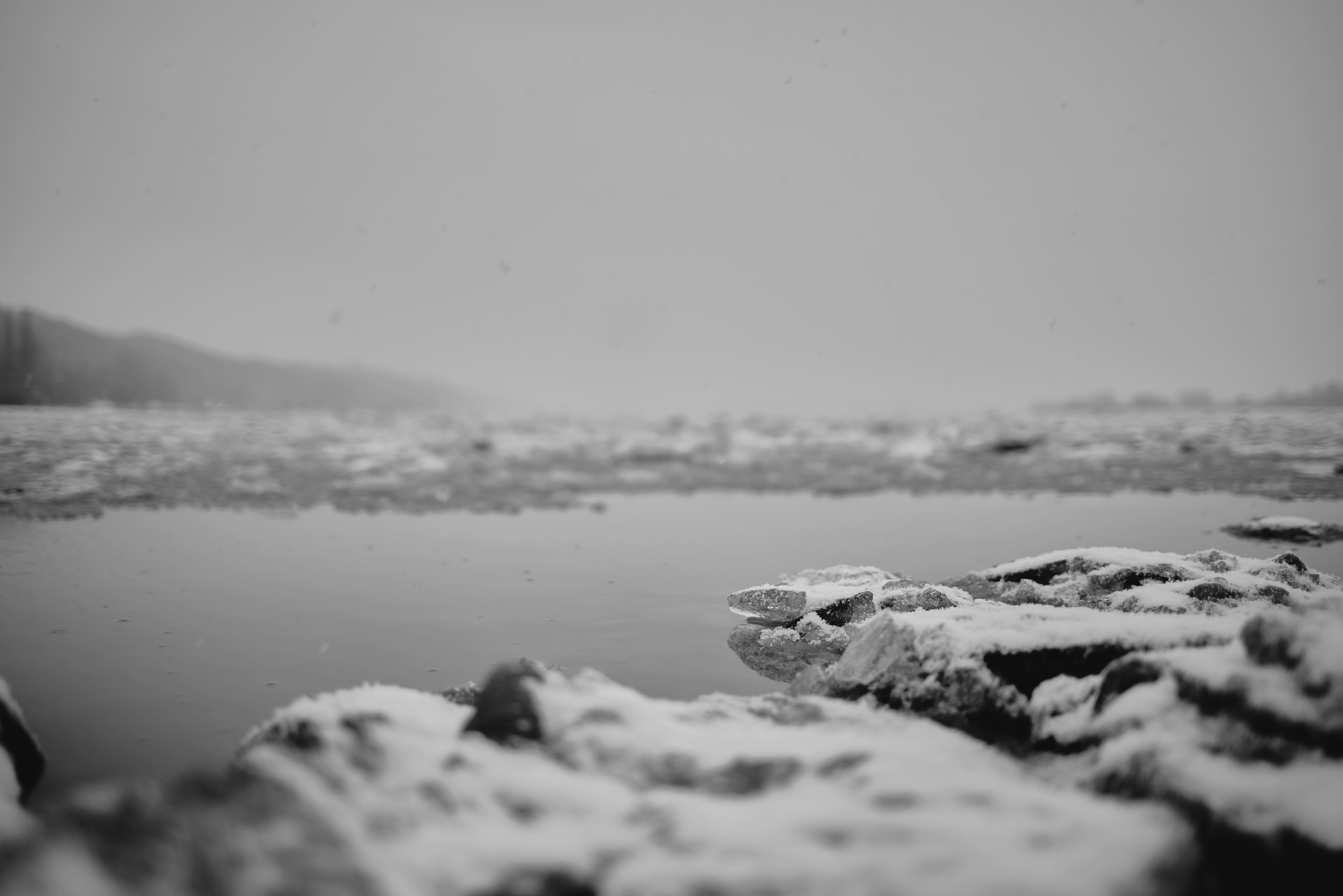 snow covered rocks on shore during daytime