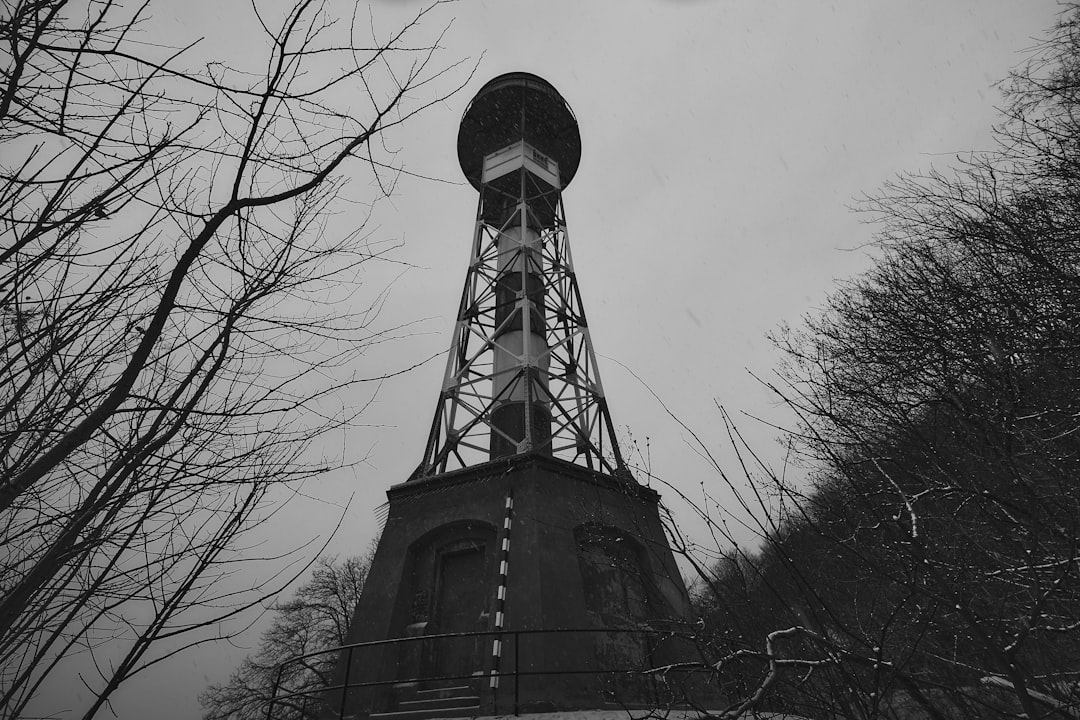 grayscale photo of bare tree near tower