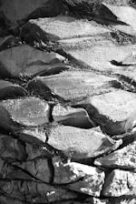 Close-up view of palm tree bark showing rough and textured surface with layers of fibrous material. The patterns create an intricate design with shadows and highlights, enhancing the rugged appearance.