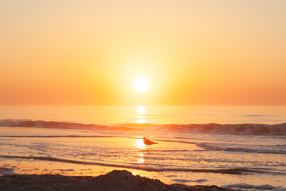 ocean waves crashing on shore during sunset