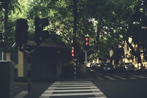A peaceful urban intersection with visible traffic lights and pedestrian crossings