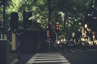 A peaceful urban intersection with visible traffic lights and pedestrian crossings