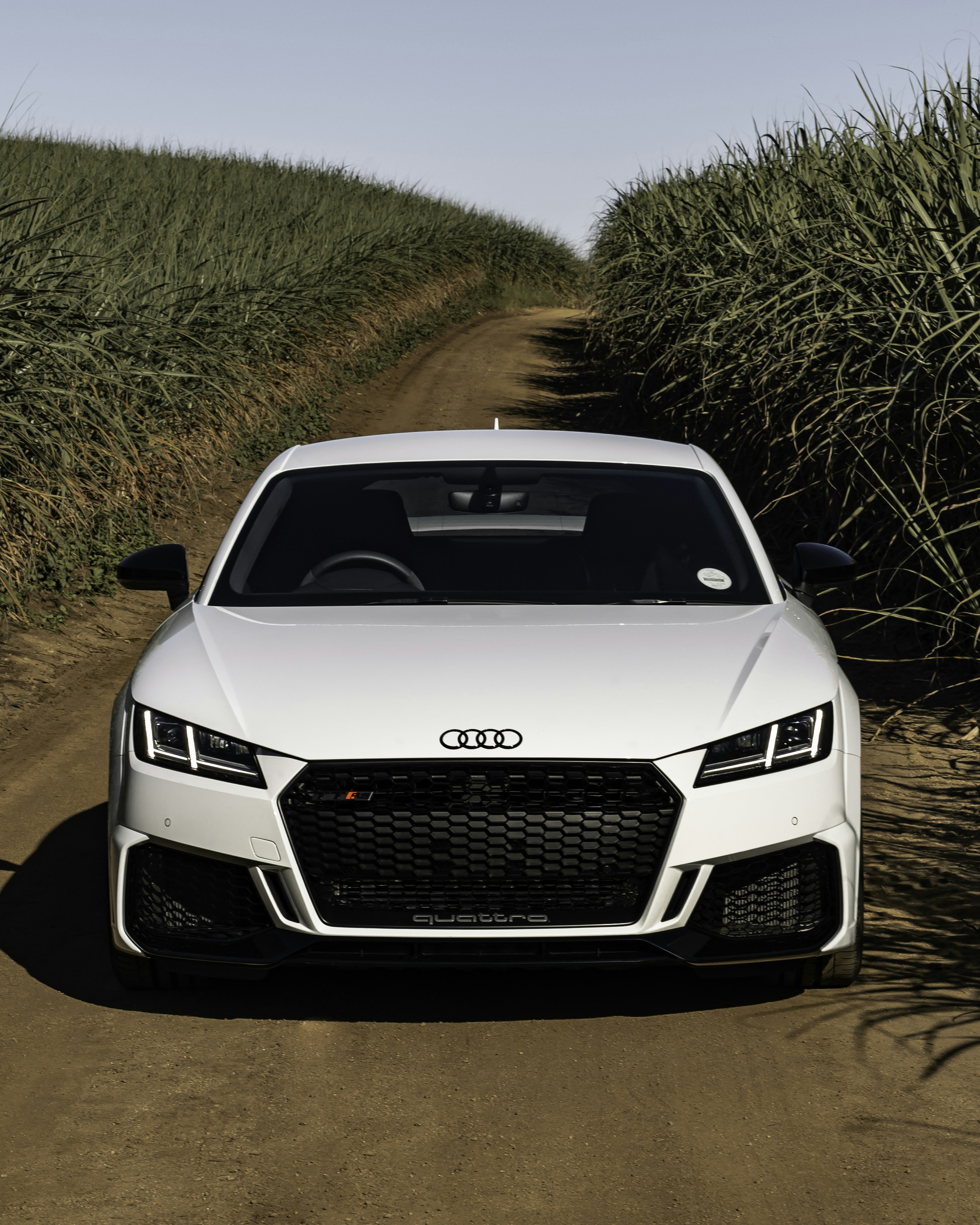 Photo by kaldenswart